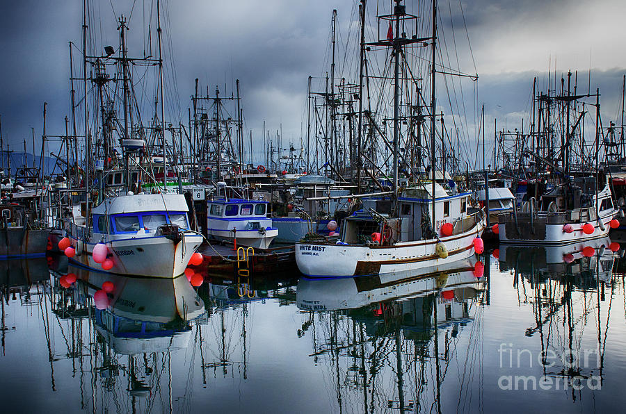 French Harbour Vancouver Island 2 Photograph by Bob Christopher
