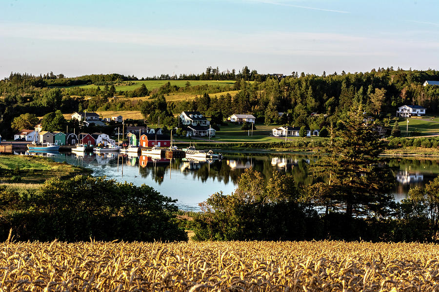 French River Harbour Photograph by Douglas Wielfaert