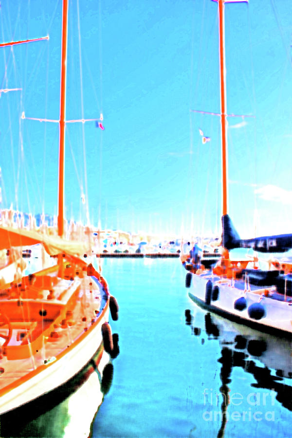 French Riviera Moorings Photograph by Becqi Sherman