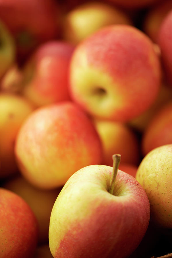 Fresh Apples Photograph by Cameron Davidson Fresh Apples Photograph by Cameron Davidson