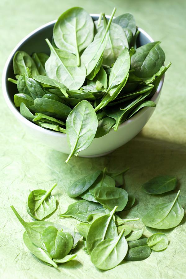 Fresh Baby Spinach Photograph by Hilde Mche