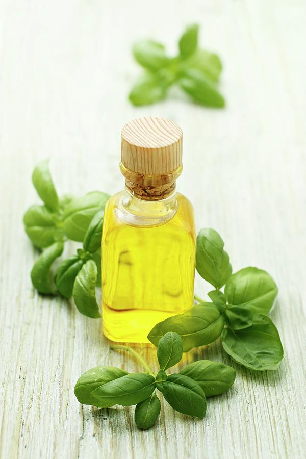 Fresh Basil And Olive Oil Photograph by Gross, Petr