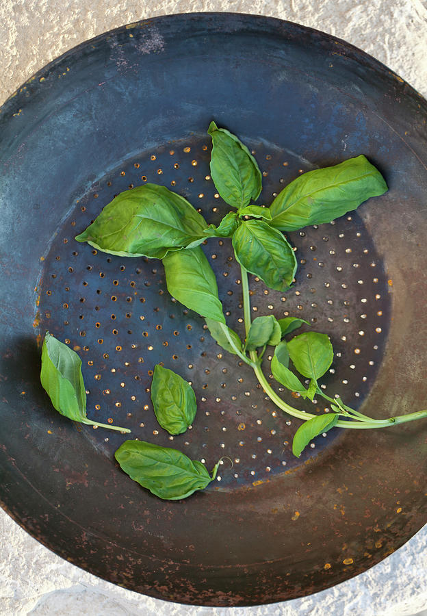 Fresh Basil In An Antique Colander, On Stone Surface Photograph by Ryla Campbell