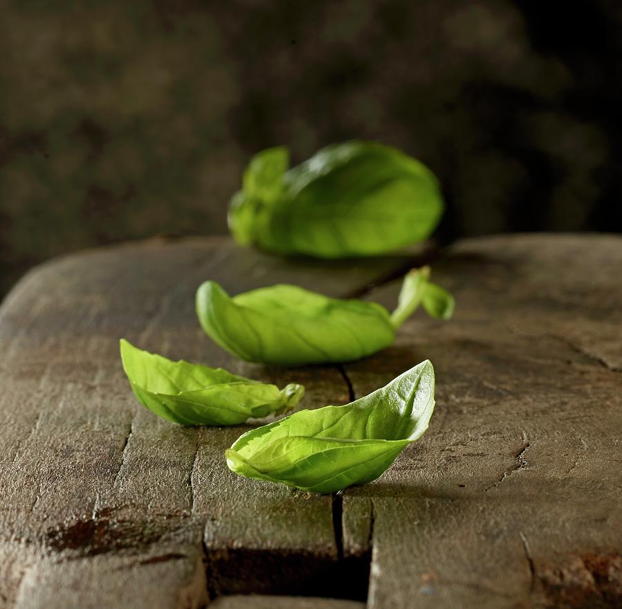 Fresh Basil Leaves On A Wooden Board Photograph by Ludger Rose