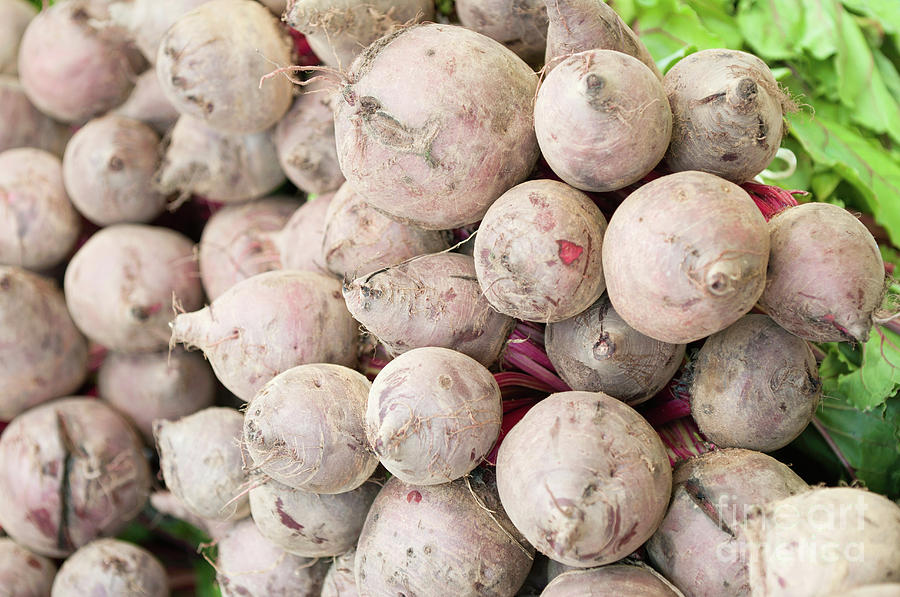 beetroots jordans