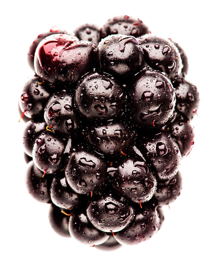 Fresh Black Berry With Water Droplets Photograph by Creative Crop