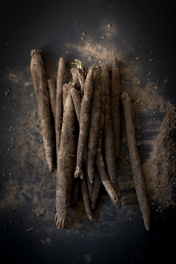 Fresh Black Salsify On A Dark Surface Photograph by Manuela Rther