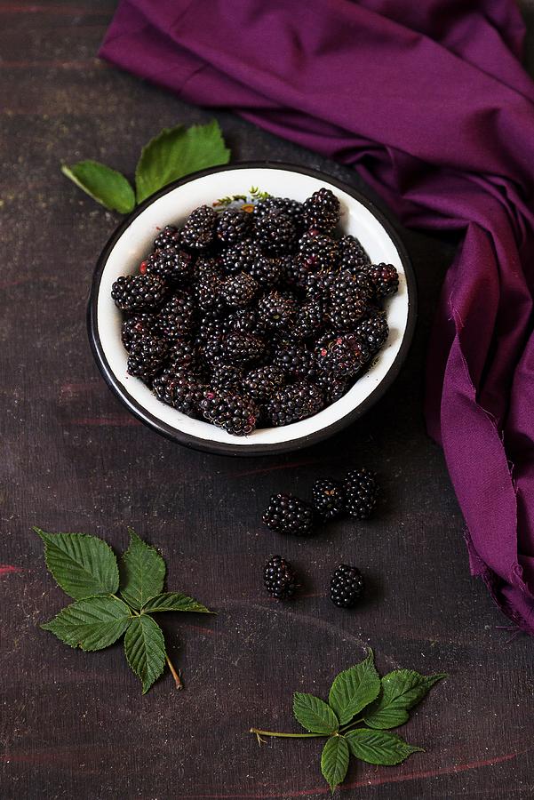 Fresh Blackberries Photograph by Adel Bekefi