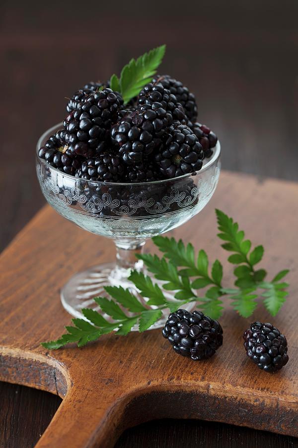 Fresh Blackberries In A Dessert Glass Photograph by Yelena Strokin