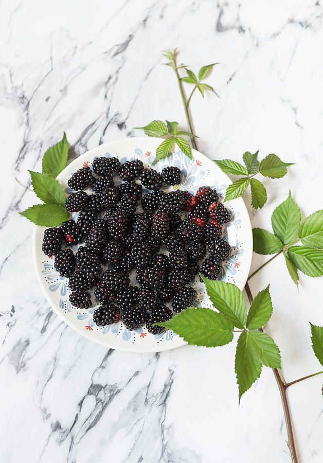 Fresh Blackberries On A Plate With A Blackberry Sprig Photograph by Adel Bekefi