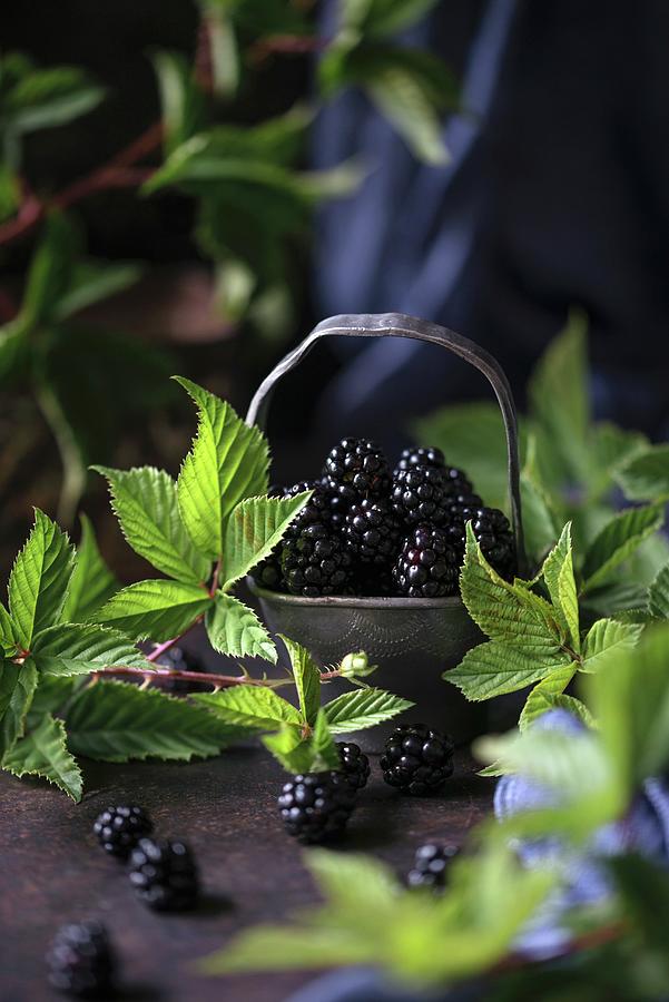 Fresh Blackberries With Leaves Photograph by Kati Neudert