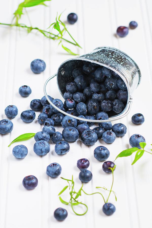 Fresh Blueberries Falling From A Metal Bucket Photograph by Brian Enright