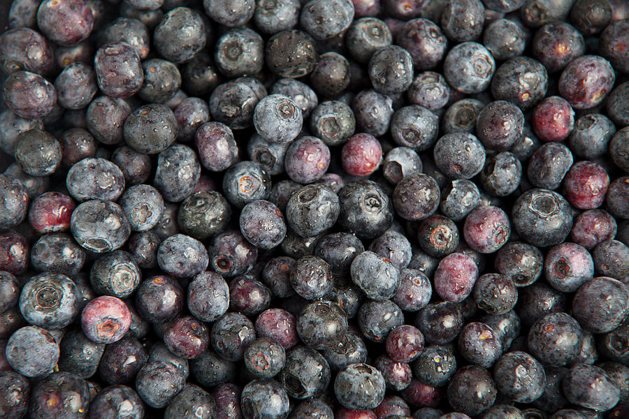 Fresh Blueberries full Frame Photograph by Richard Church