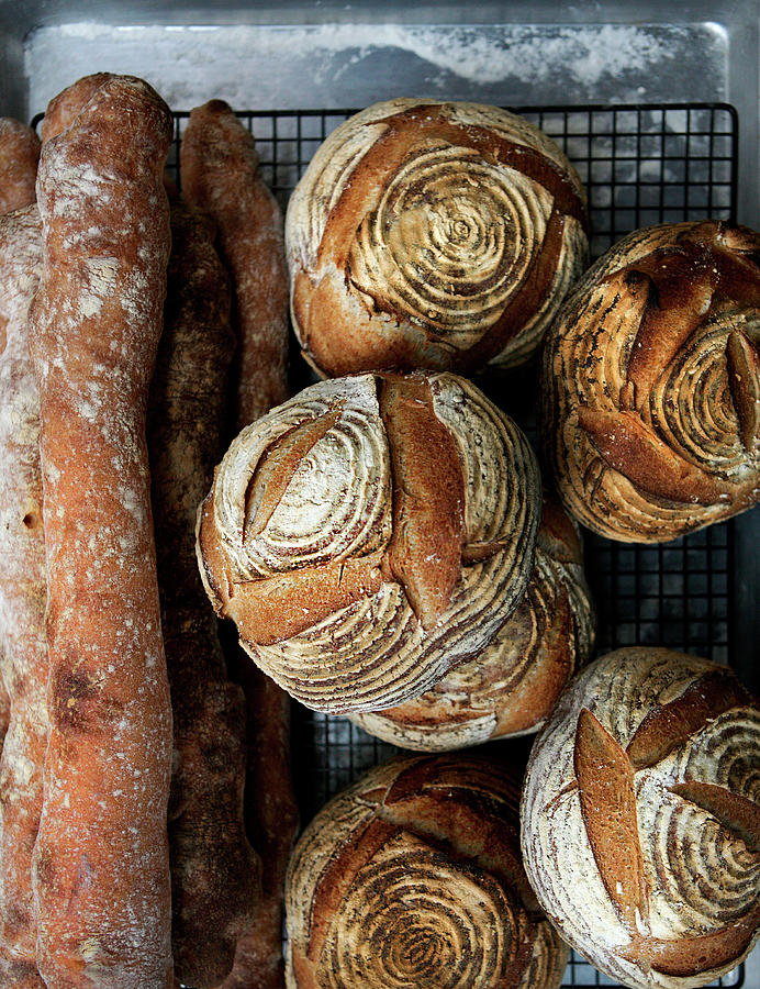 Bread Digital Art - Fresh Bread And Baguettes by Carmen Troesser