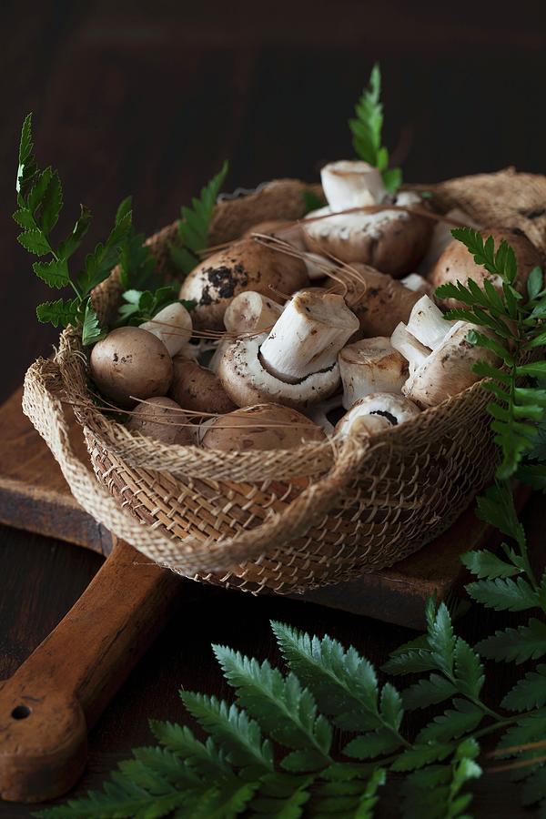 Fresh Brown Mushrooms In A Basket Photograph by Yelena Strokin