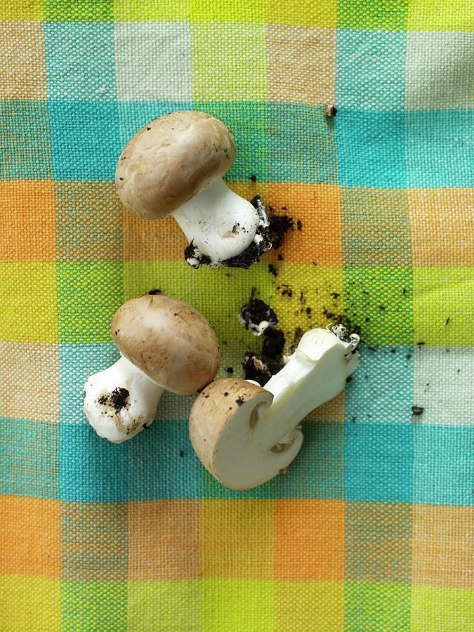 Fresh Brown Mushrooms With Soil On A Checked Cloth Photograph by Arras, Klaus