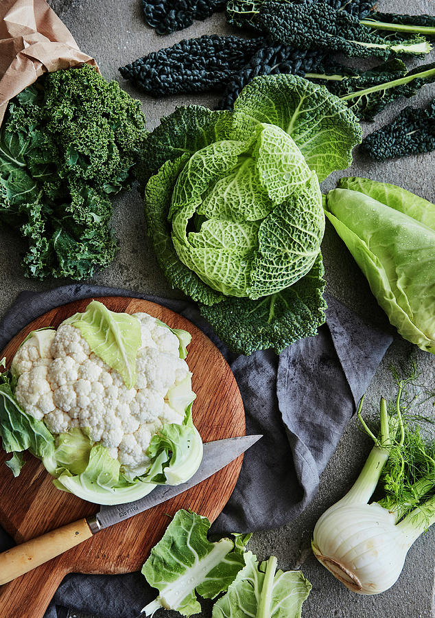 Fresh Cabbage Varieties And A Fennel Tuber Photograph by Fanny Rådvik ...