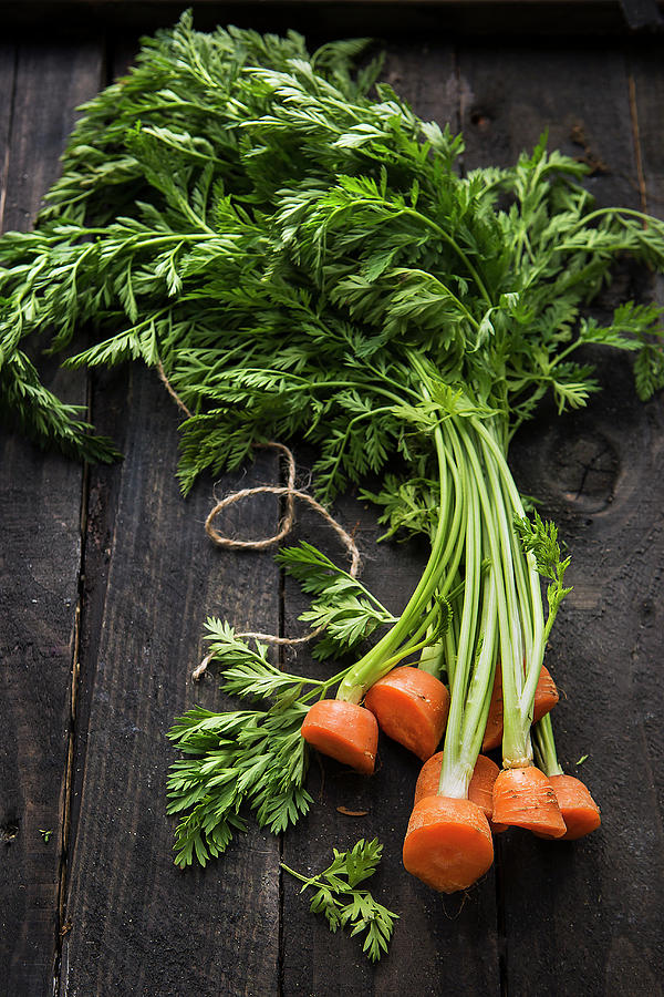 Fresh Carrot Tops On A Wooden Background Photograph by Stacy Grant