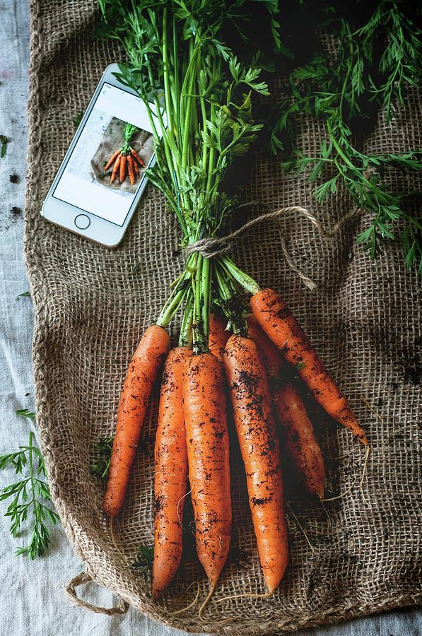 Fresh Carrots With Soil On A Sackcloth seen From Above Photograph by Natasha Breen