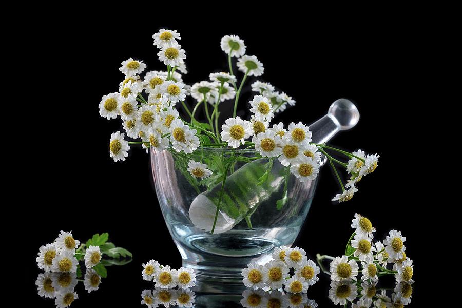 Fresh Chamomile Blossoms In A Glass Mortar Photograph by Jean-paul Chassenet