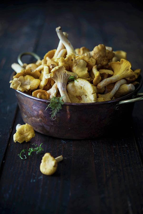 Fresh Chanterelle Mushrooms In A Metal Dish Photograph by Justina Ramanauskiene
