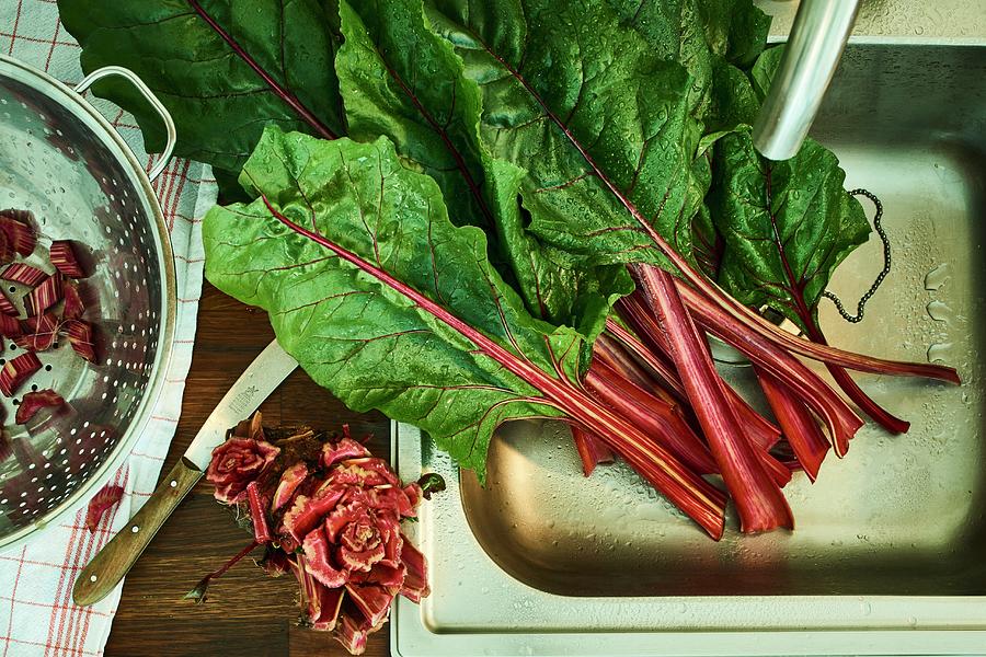 Fresh Chard In A Sink Photograph by Angela Francisca Endress