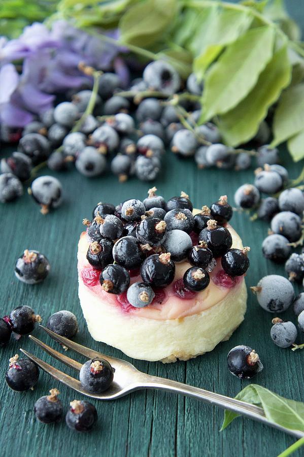 Fresh Cheesecake With Blackcurrants Photograph by Martina Schindler