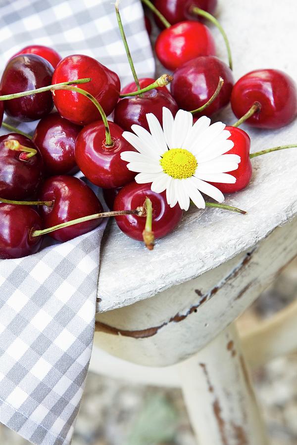 Fresh Cherries With An Oxeye Daisy On A Wooden Table Photograph by Vedder, Catja
