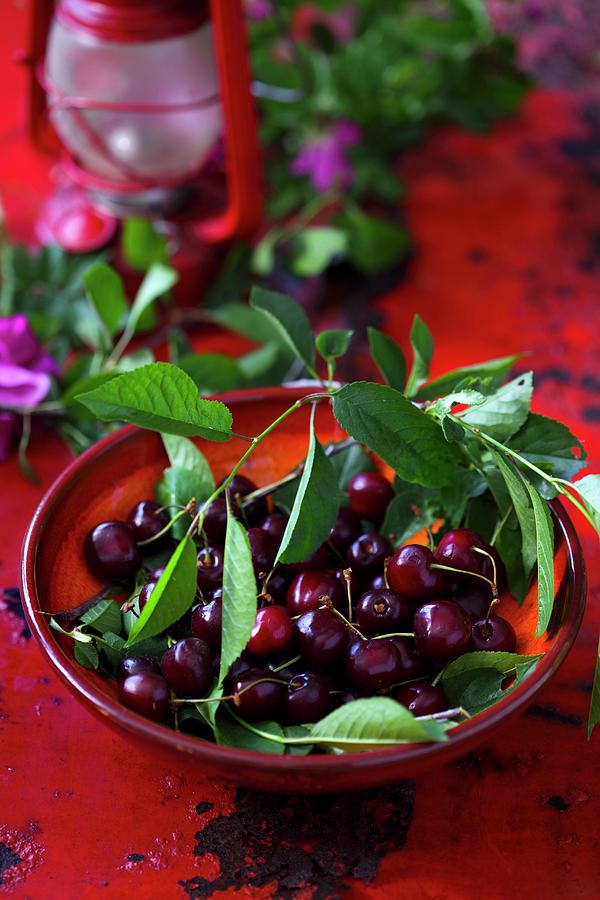 Fresh Cherries With Leaves On A Red Plate Photograph by Boguslaw Bialy