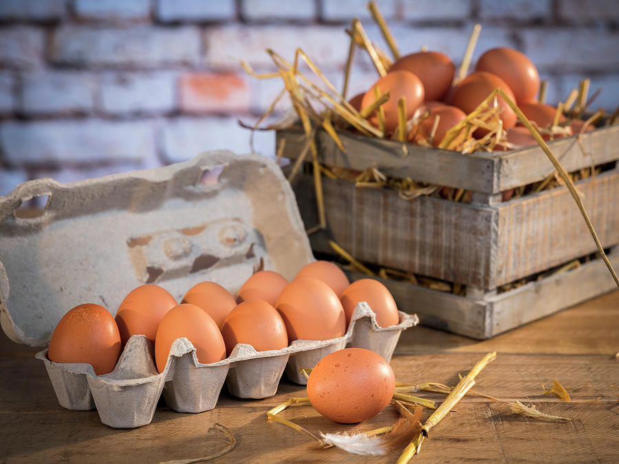 Fresh Chicken Eggs In An Egg Carton Photograph by Niklas Thiemann