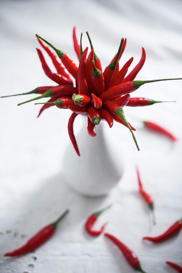 Fresh Chillies In A Vase Photograph by Kati Neudert