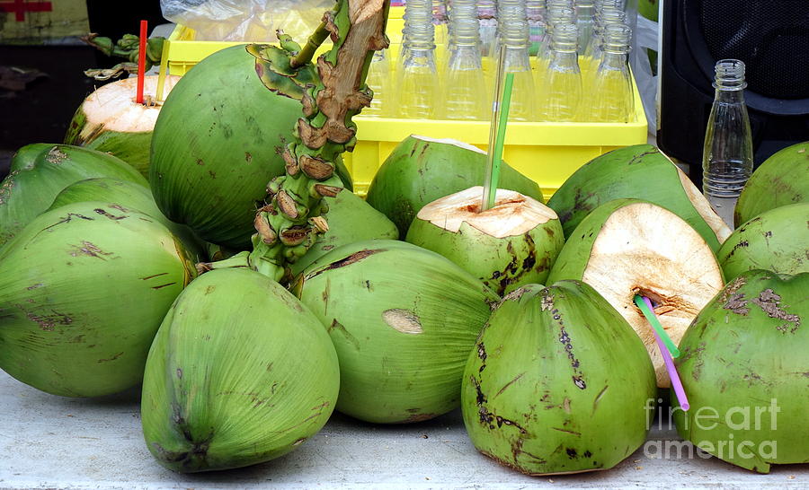 Fresh Coconut Milk by Yali Shi Fresh Coconut Milk by Yali Shi