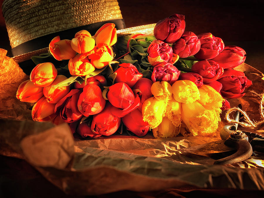 Flower Photograph - Fresh Cut Tulips by Joe Felzman Photography