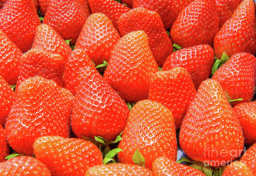 Fresh Delicious Red Strawberries  ready to eat Photograph by Ulrich Wende