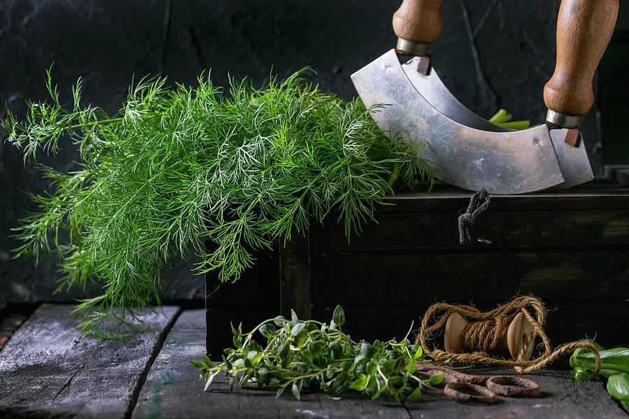 Fresh Dill And Thyme With An Old Pair Of Scissors, Twine And A Chopping Knife On An Old Wooden Table seen From Above Photograph by Natasha Breen