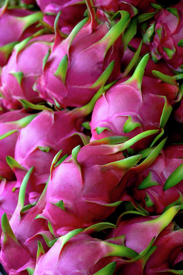 Fresh Dragon Fruit For Sale In A Thai Photograph by Enviromantic