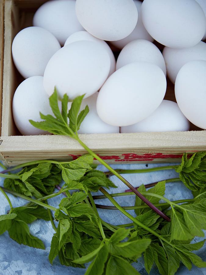 Fresh Eggs And Goatweed Photograph by Magnus Carlsson
