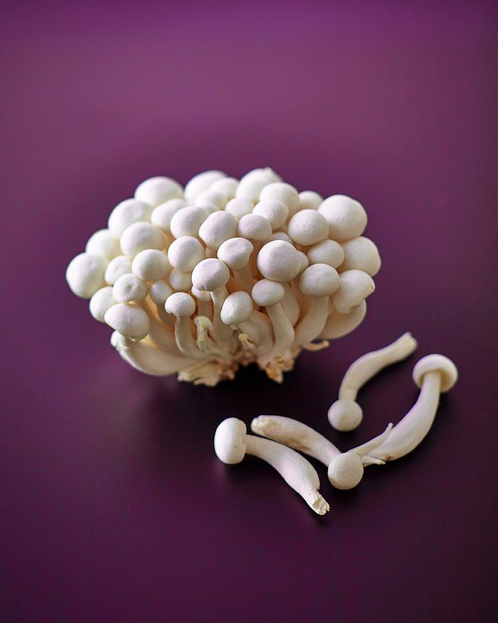 Fresh Enoki Mushrooms Photograph by Tom Regester