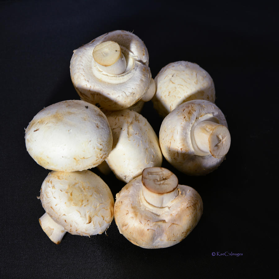 Fresh Field Mushrooms Photograph by Kae Cheatham