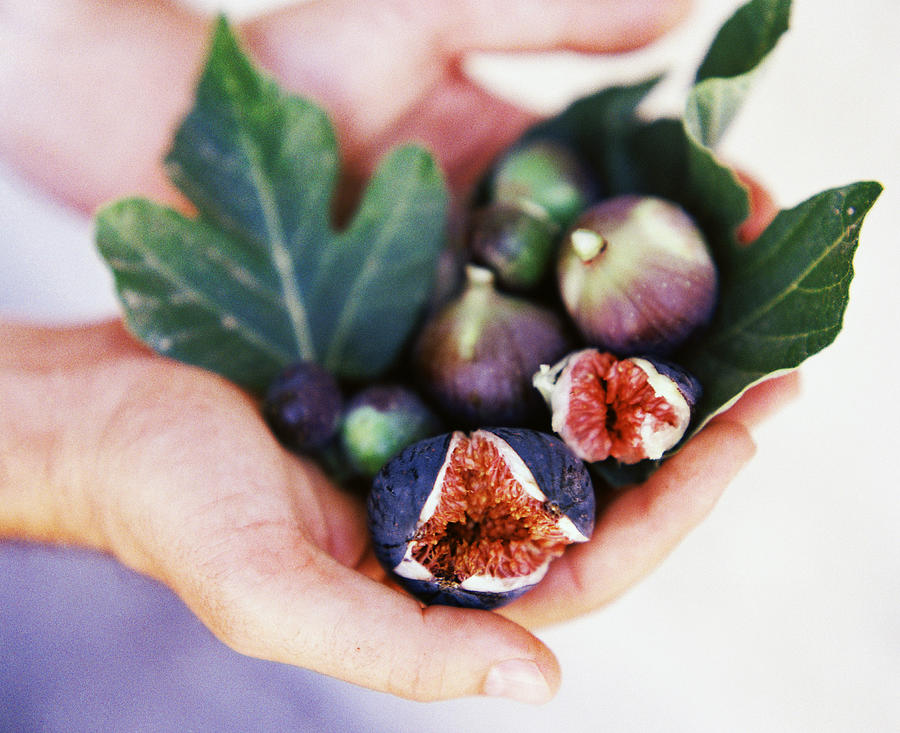 Fresh Figs Digital Art by Lisa Linder