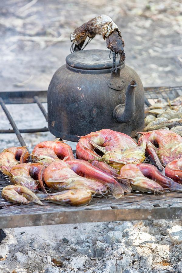 Fresh Fish And A Kettle On A Barbecue, Zambia, Africa Photograph by Jalag / Tim Langlotz