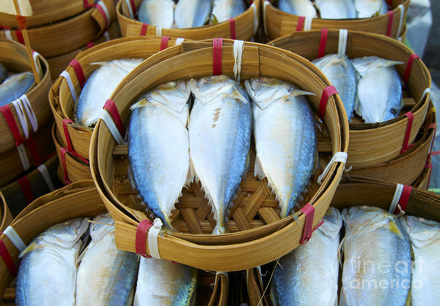 Fresh Fish In Baskets On Bangkok Street Photograph by Dan Howell Pixels