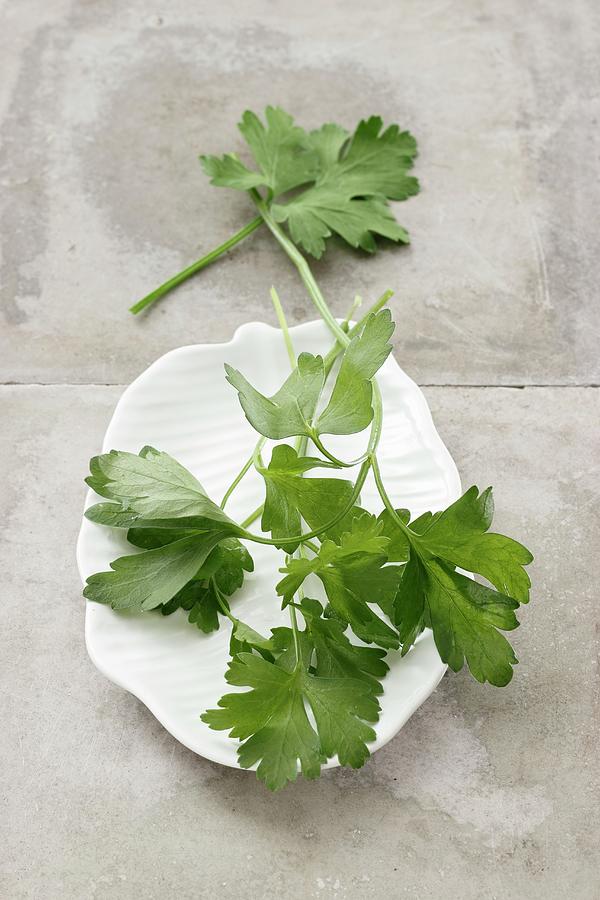 Fresh, Flat-leaf Parsley On A Plate Photograph by Petr Gross