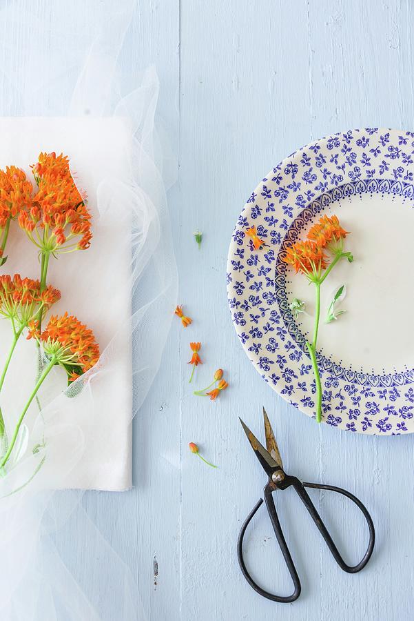 Fresh Flowers For Decorating Plates Photograph by Au Petit Gout Photography Llc