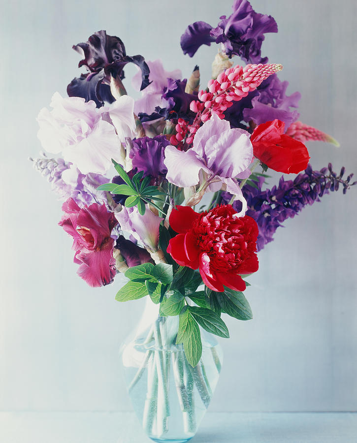 Fresh Flowers In A Vase Photograph by Victoria Pearson