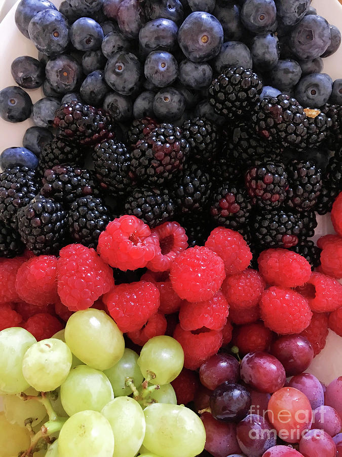 Blueberry Photograph - Fresh fruit background by Tom Gowanlock