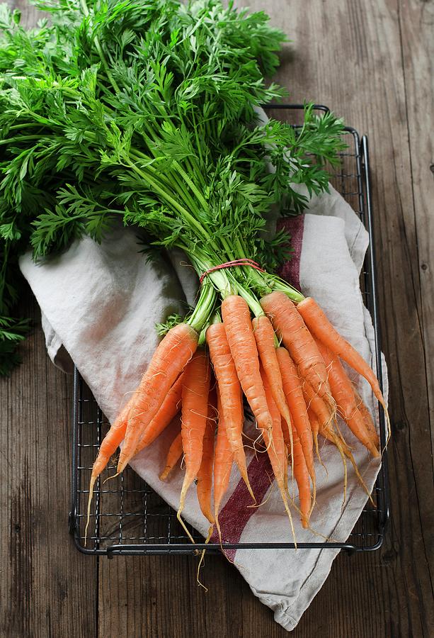 Fresh Garden Carrots On A Tea Towel Photograph by Ewgenija Schall