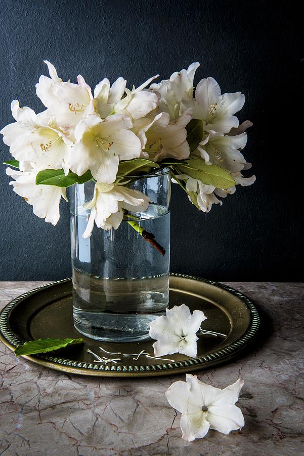 Fresh Garden Flowers In Glass Of Water Photograph by Magdalena Hendey