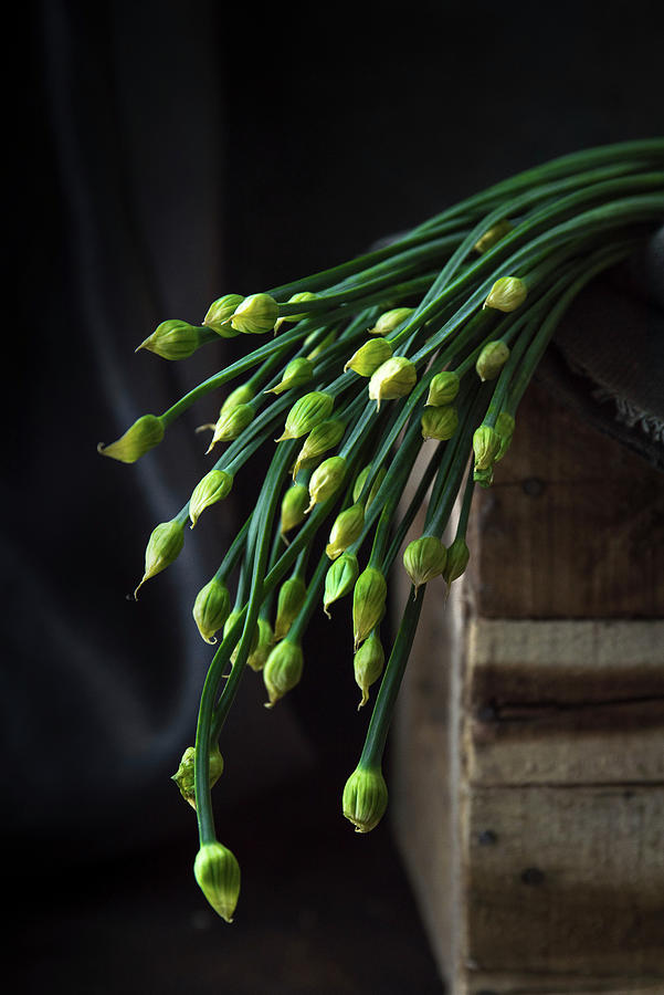 Fresh Garlic Chives Photograph by Max D. Photography
