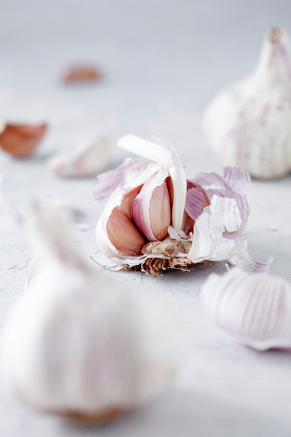Fresh Garlic Photograph by Kati Finell